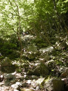 b0183911_23131818.jpg