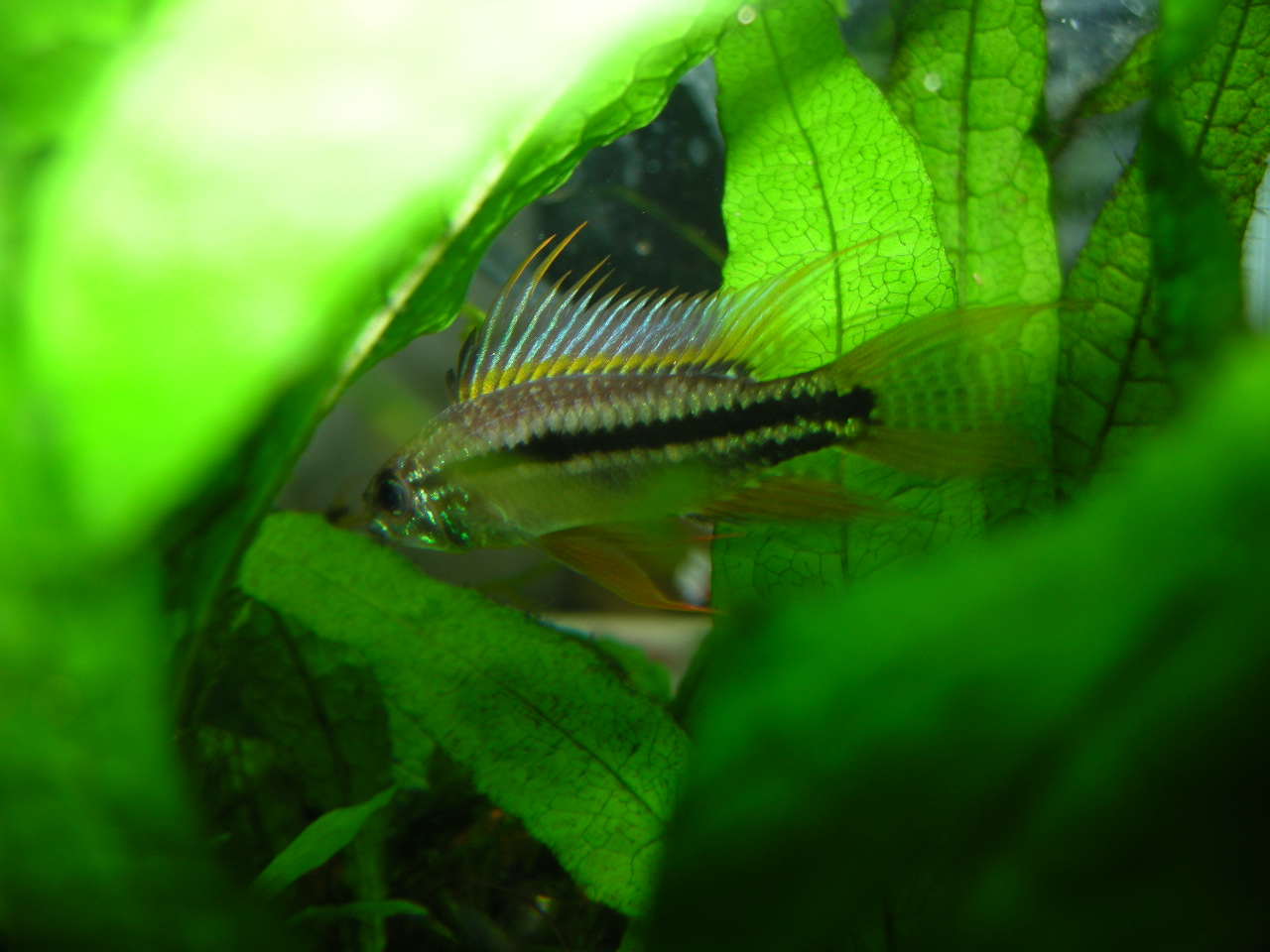 c0224611_205027.jpg