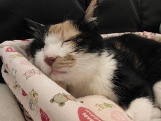 c0201113_2313824.jpg