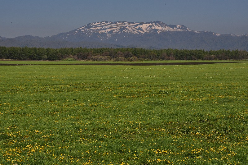 f0213613_20471428.jpg