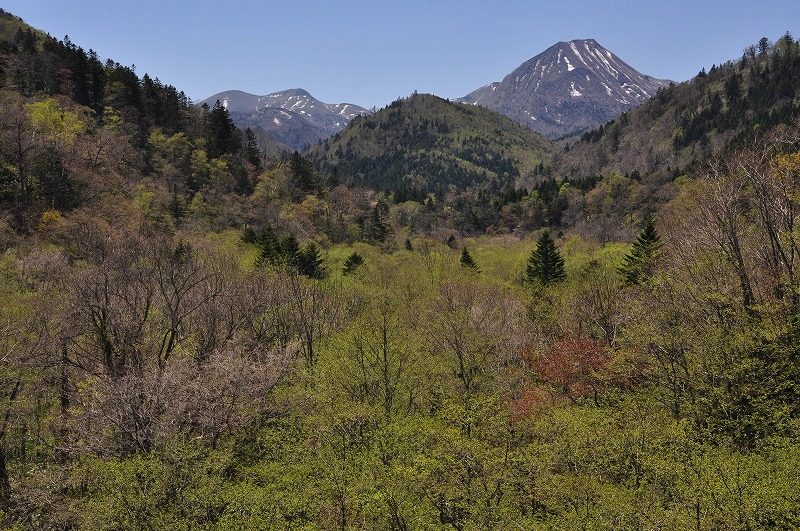 f0213613_20473965.jpg