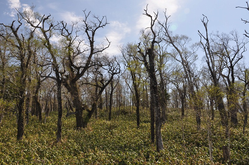 f0213613_20483036.jpg