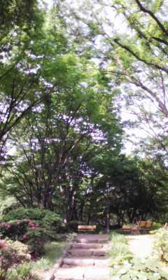 e0009714_9173924.jpg