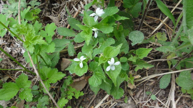 f0233414_22355326.jpg