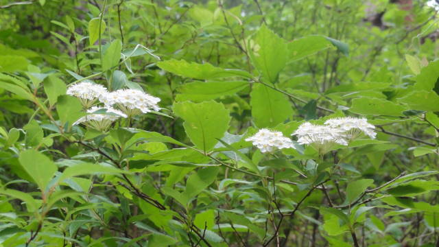 f0233414_2235960.jpg