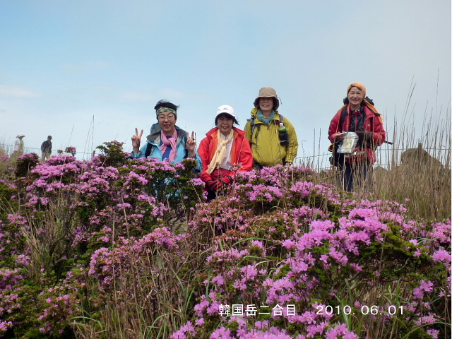 d0170615_538129.jpg