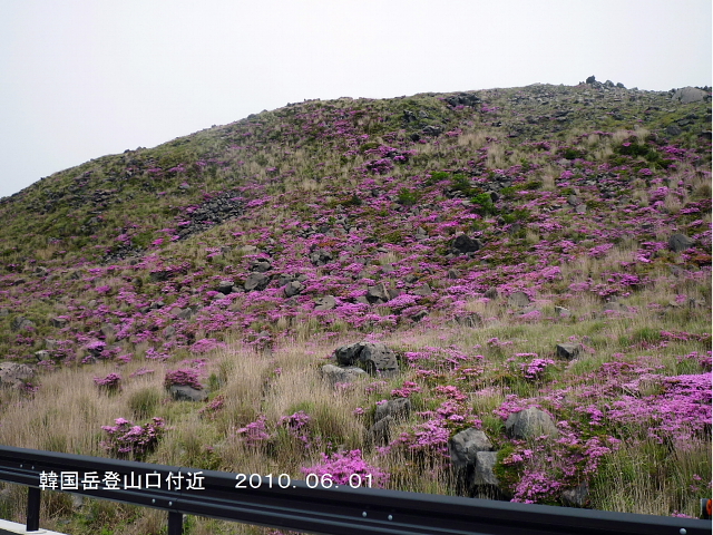 d0170615_5391931.jpg