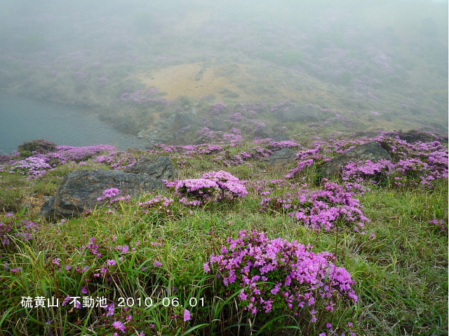 d0170615_5405130.jpg