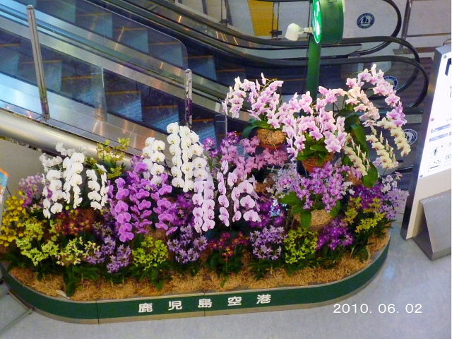 d0170615_6382671.jpg