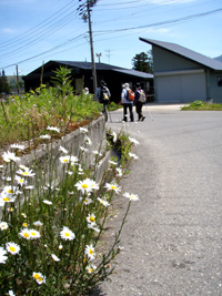e0058118_91573.jpg