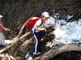e0058118_972519.jpg