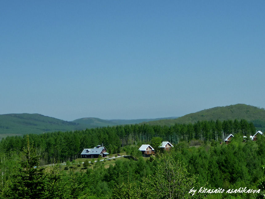 f0153018_2131249.jpg