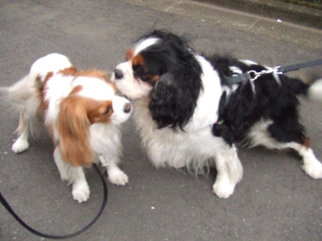 f0214121_221428.jpg