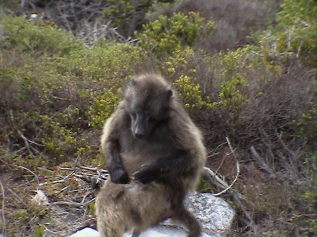 e0055023_258781.jpg