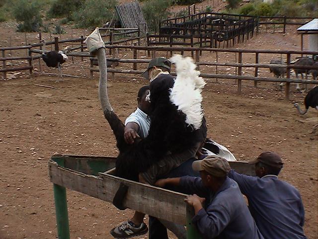 e0055023_335298.jpg