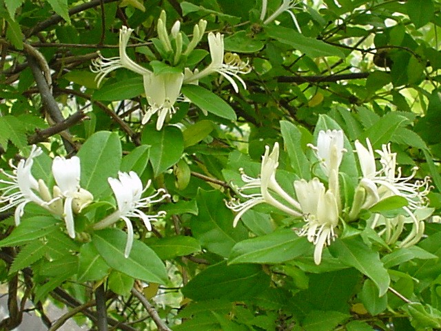 d0004627_23294125.jpg