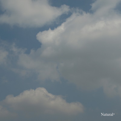 e0166127_20564037.jpg