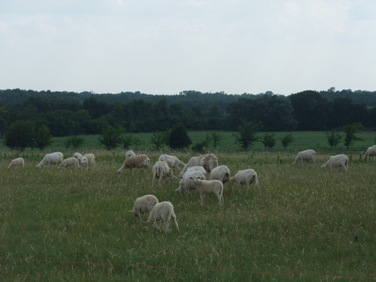 f0238932_1350106.jpg