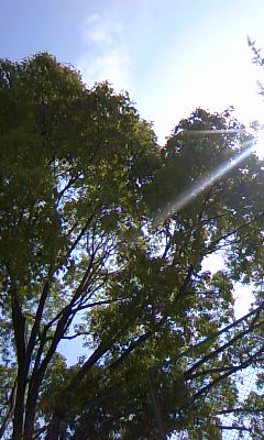 c0090534_0583474.jpg