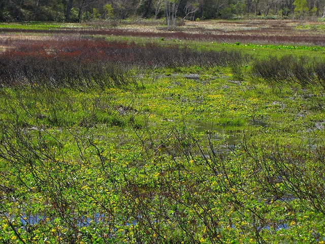 b0097836_13354094.jpg