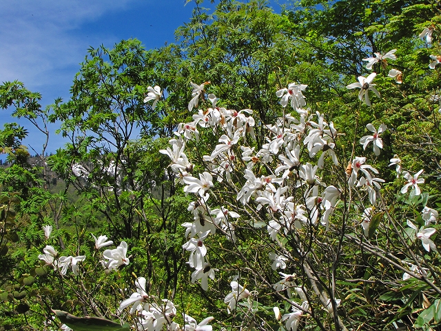 b0097836_13385539.jpg