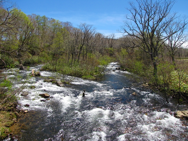 b0097836_14165035.jpg