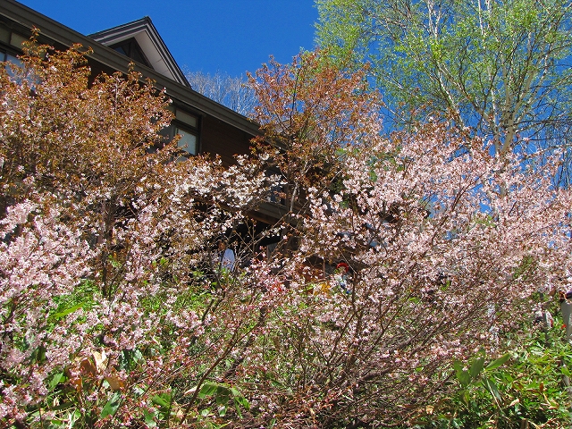b0097836_14185289.jpg