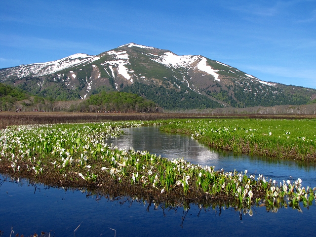 b0097836_1435518.jpg