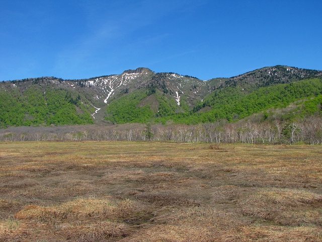 b0097836_1461894.jpg
