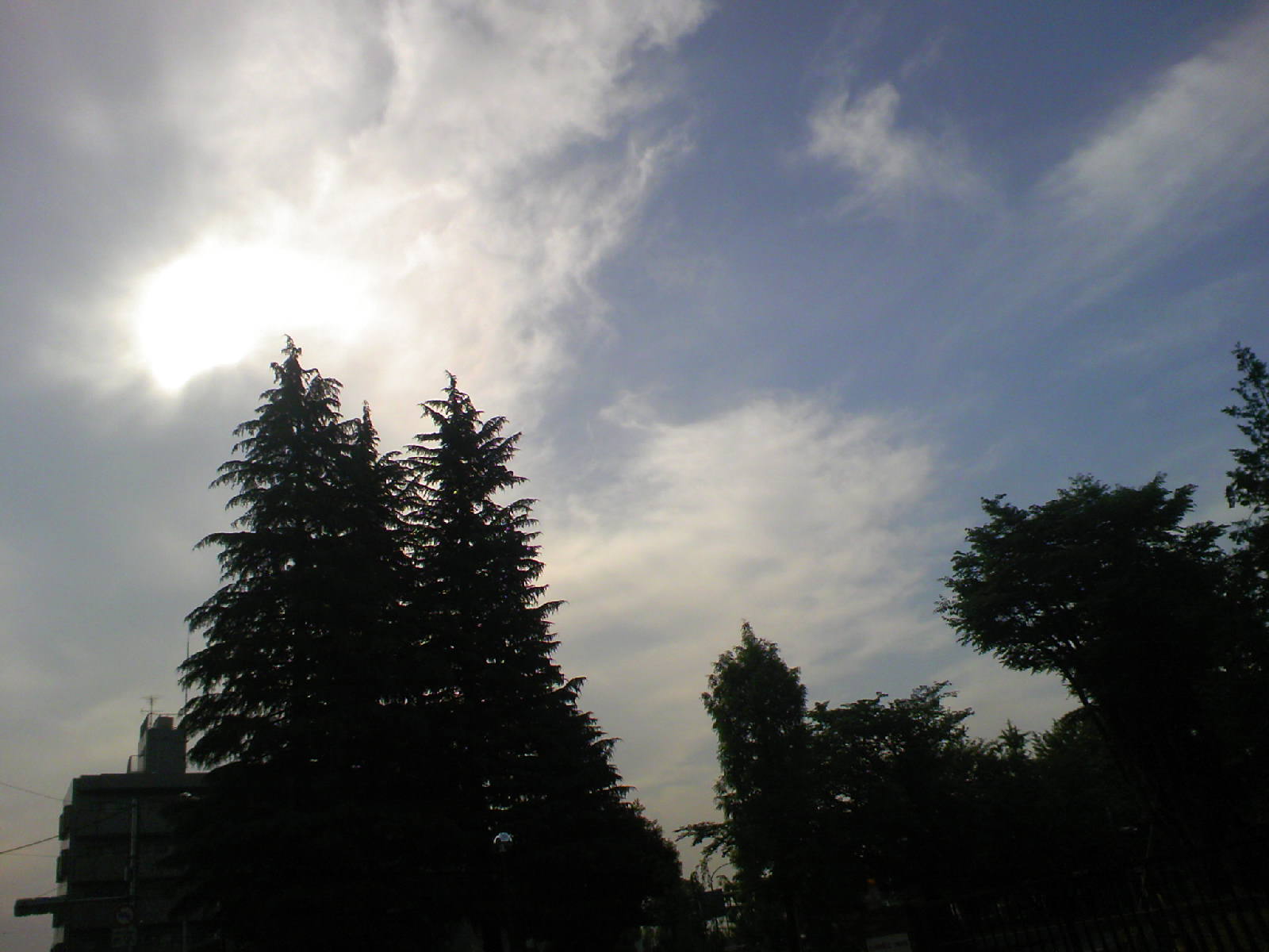 c0125637_894323.jpg