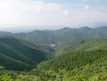 c0183137_22222994.jpg