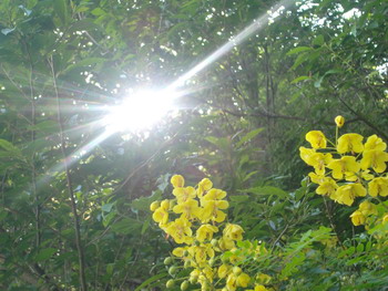 c0183137_22313633.jpg