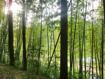 c0183137_2244761.jpg