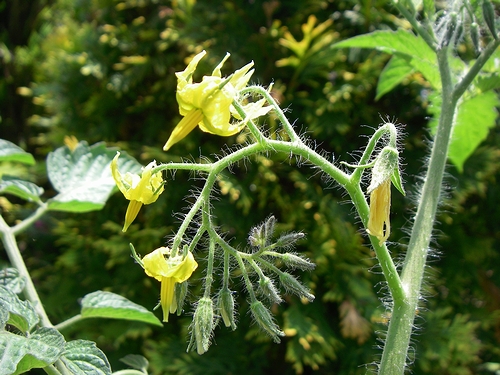 a0034438_14572225.jpg