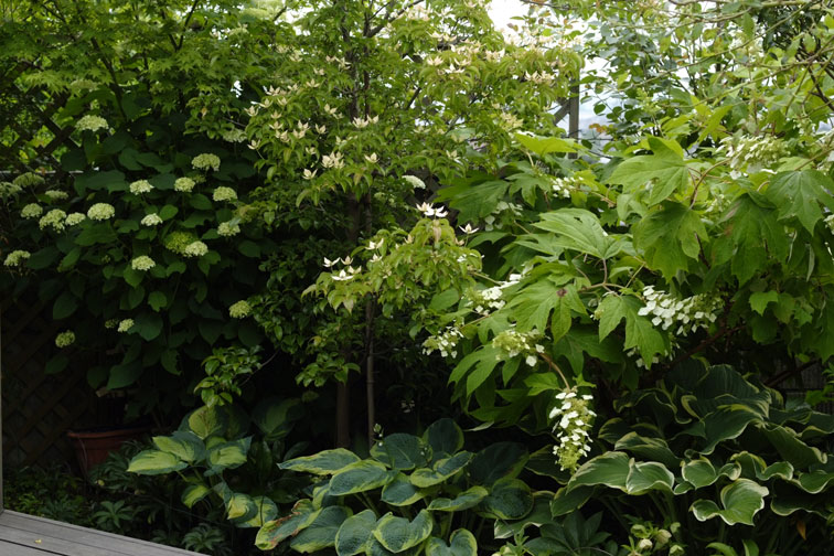 b0075541_19361624.jpg