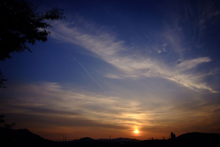 b0075541_20125276.jpg
