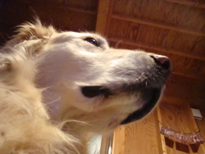 e0158841_1053506.jpg