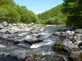 f0219441_13171748.jpg