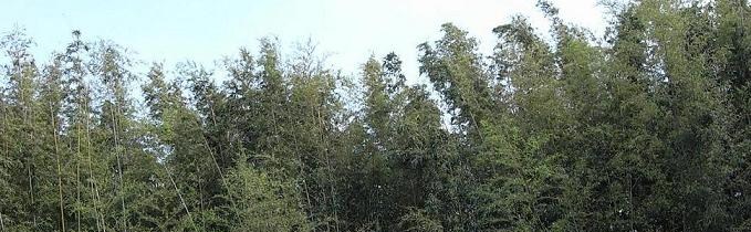 a0116442_22181050.jpg