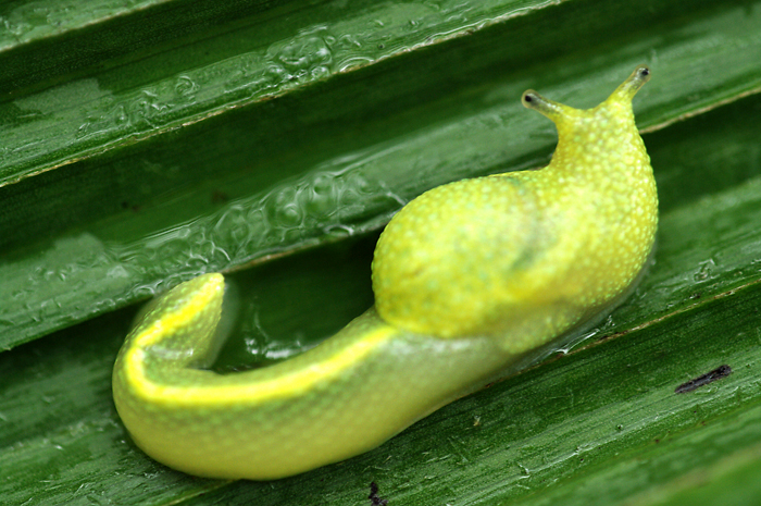 b0130243_23521657.jpg