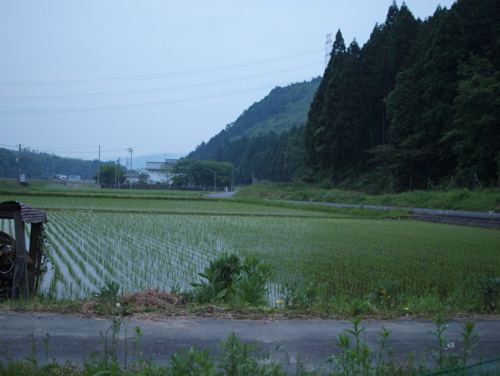 c0072843_19324624.jpg