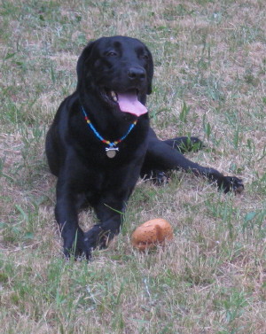 e0121548_22103771.jpg