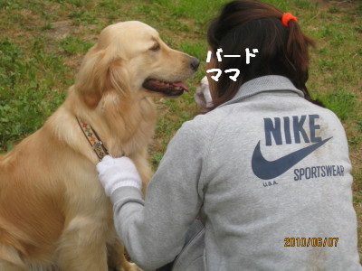 e0121548_22365634.jpg