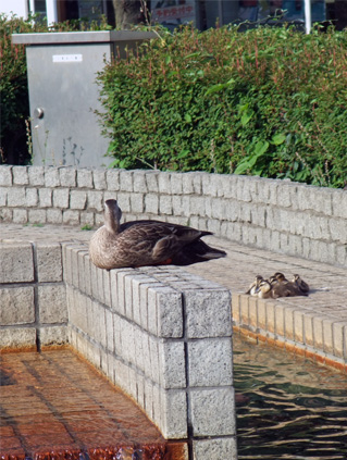 a0068151_915414.jpg