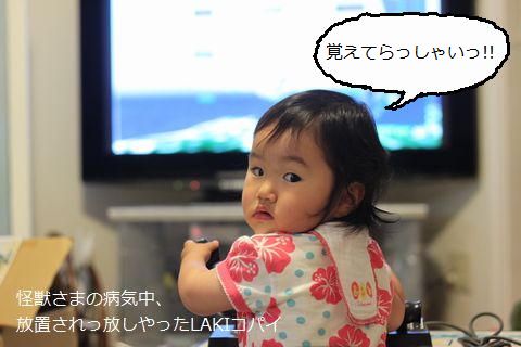 a0090451_2340344.jpg
