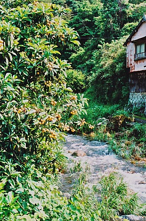 e0156251_23283779.jpg