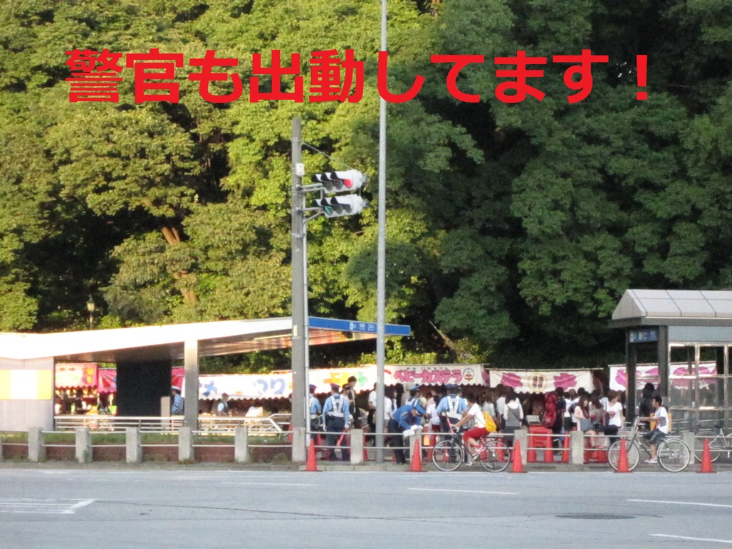 d0155853_135241.jpg