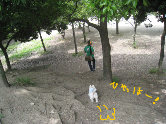 d0134156_161389.jpg
