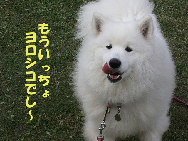 e0176159_21234043.jpg