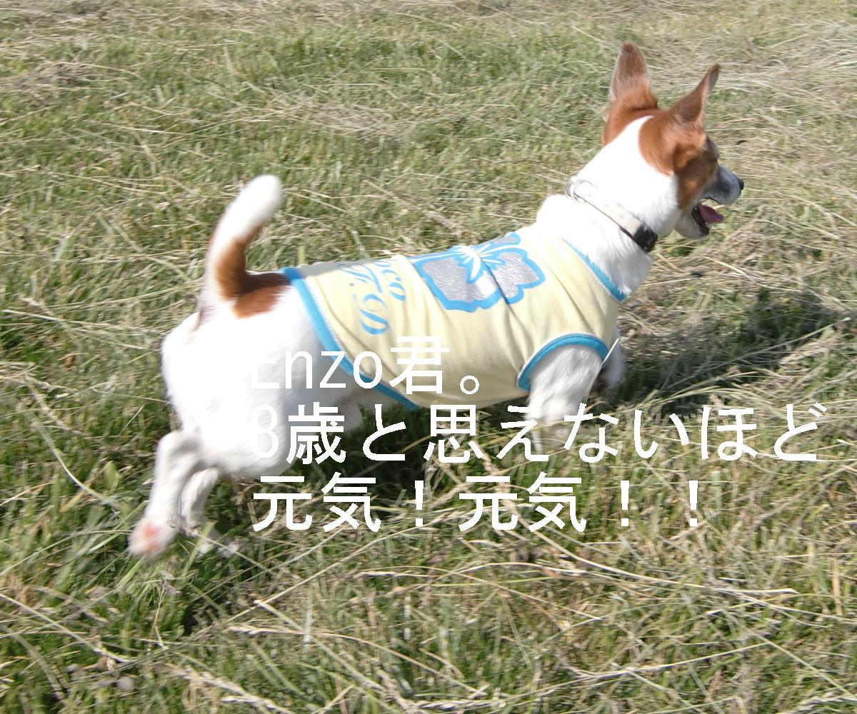 c0140260_23105222.jpg
